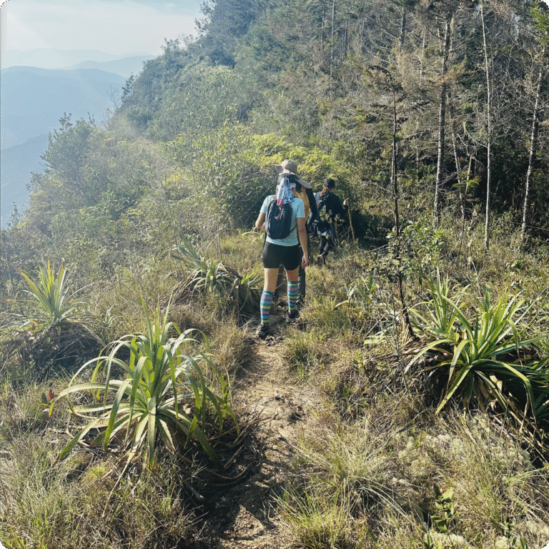 Ruta Paraíso CT 2