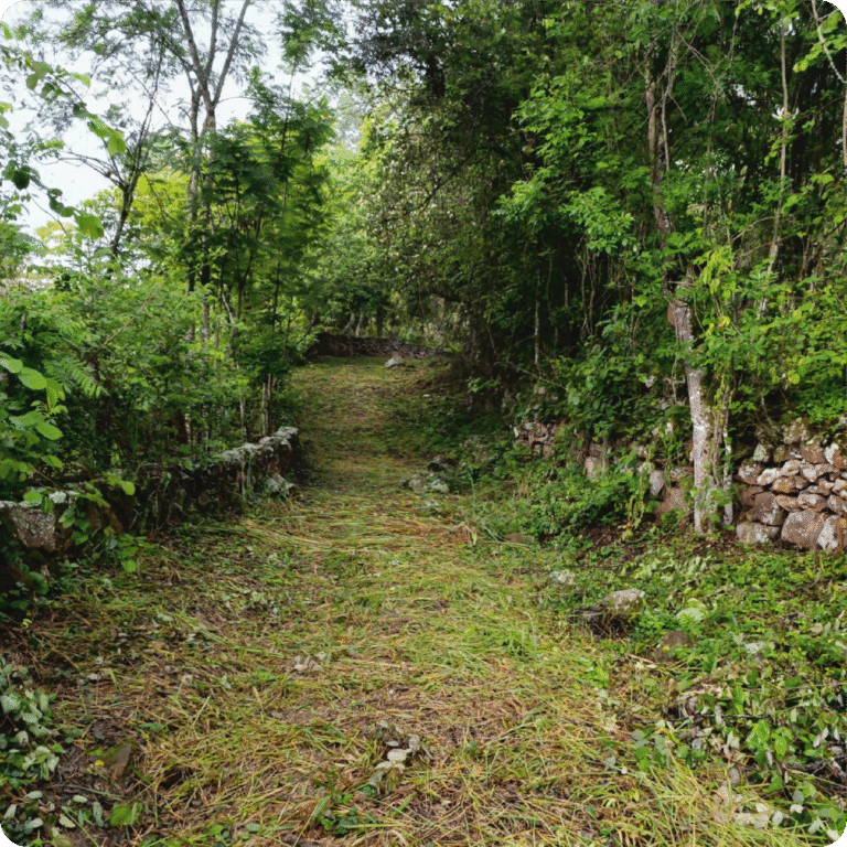 Ruta verde Responsive 2